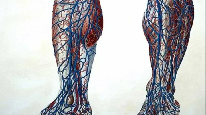 How can I increase blood circulation in my legs?