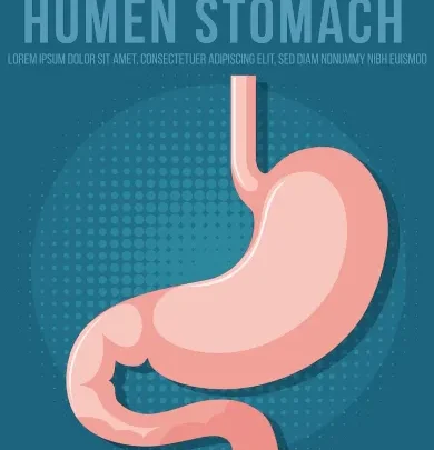 How Long Does It Take to Digest Food