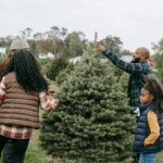 African American family making New Year preparation and choosing Christmas tree on farm with different spruces