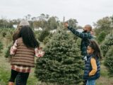 African American family making New Year preparation and choosing Christmas tree on farm with different spruces