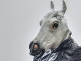 White Horse Wearing Black Leather Zip-up Jacket