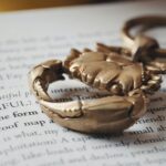 Golden Crab Shape Key Ring on a Book