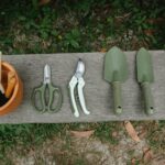 Top view of row of scissors secateurs shovels and tools for loosening soil near pot with instruments on wooden bench in garden