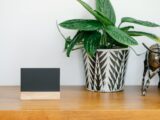 Blank name card placed on shelf near potted plant and metal cow statuette against gray wall