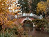 A bridge over a stream in the fall