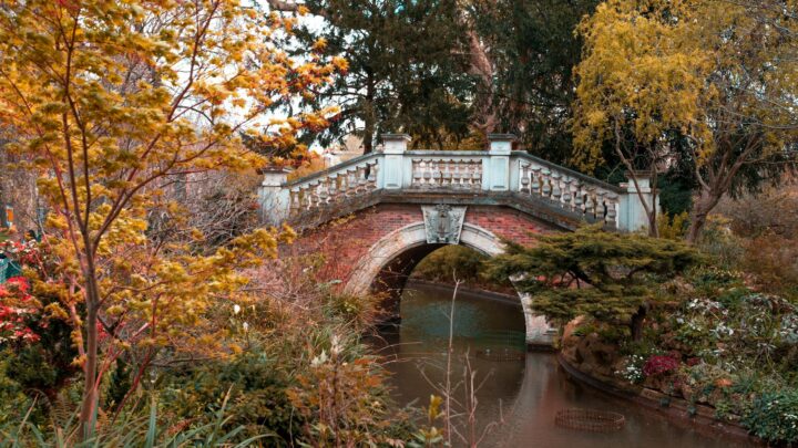 From Budgeting to Investing: Building a Strong Financial Foundation