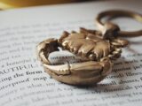 Golden Crab Shape Key Ring on a Book