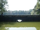 A bridge over a pond with a green tree