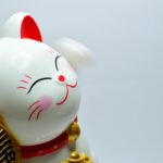 Japanese Lucky Coin Cat